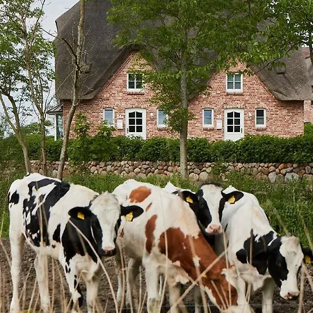 House Reetdachhaus House 1 *